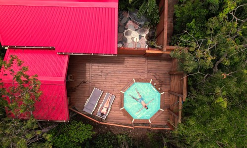 Jungle Lodge